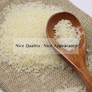 Halal Food Additive Beef Pharmaceutical Grade Gelatin Manufacturer